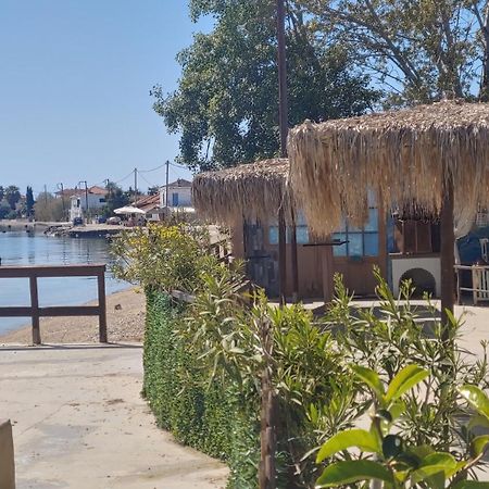 Stone Villa Inside Sea- Kids'Land Platanidia 外观 照片
