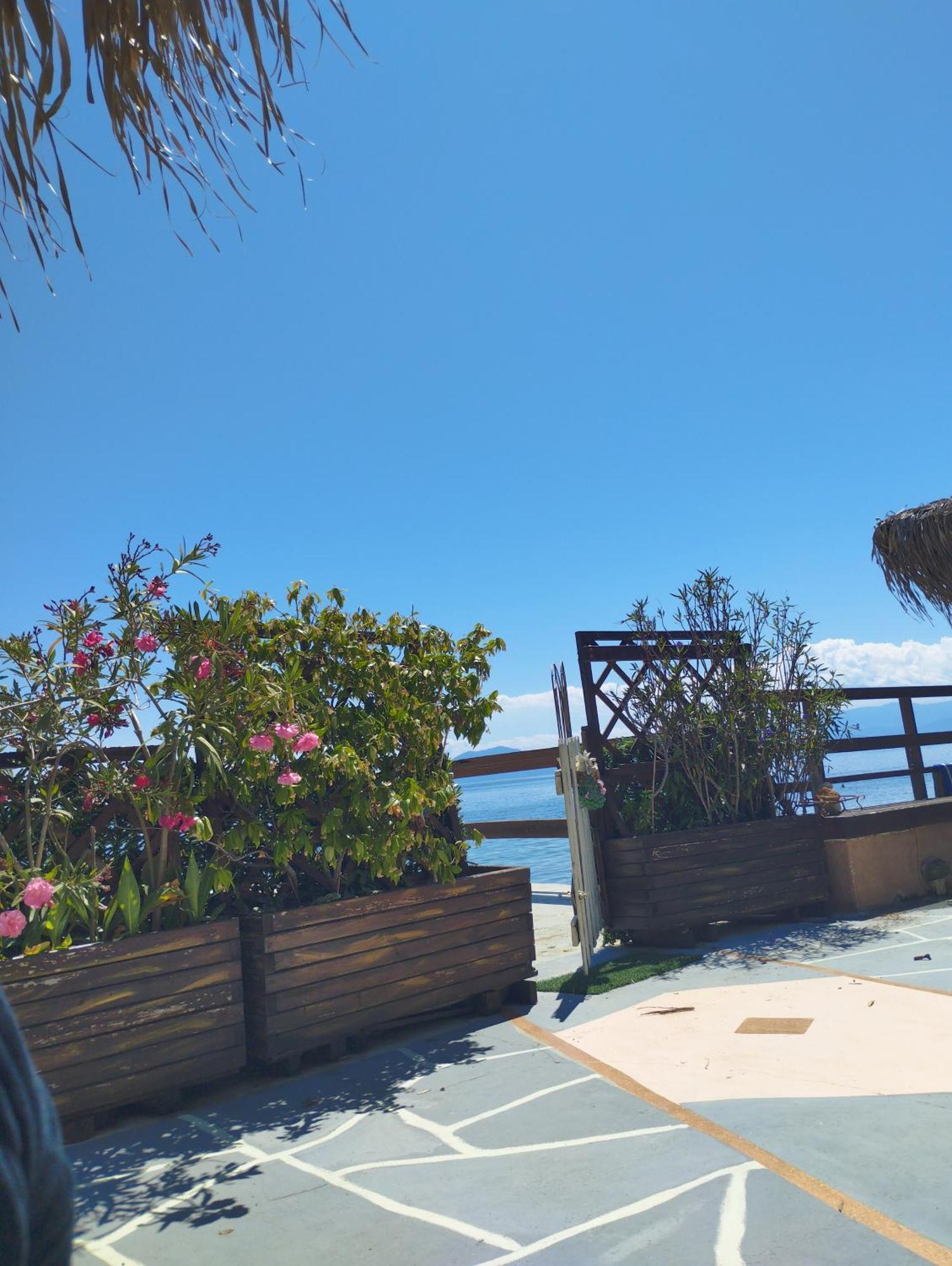 Stone Villa Inside Sea- Kids'Land Platanidia 外观 照片